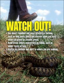 "Watch Out-Snakes" safety poster from Clement, reminding employees to be cautious and alert to where they are walking in outdoor areas.