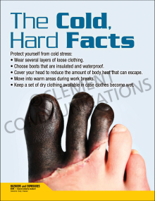Seasonal workplace safety poster titled "The Cold Hard Facts" detailing instructional guidelines on layering clothing and preventing cold stress injuries.
