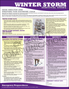 "Winter Storm Survival Guide" emergency preparedness poster from Clement, providing vital actions for employees to follow during severe winter weather.