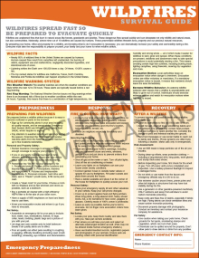 An emergency preparedness safety poster featuring step-by-step wildfire survival instructions, evacuation checklists, and critical safety guidelines.