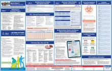 Federal OSHA Safety Poster