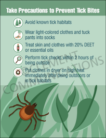 Outdoor workplace safety poster outlining step-by-step precautions to prevent tick bites, including proper clothing, repellent use, and tick removal techniques.