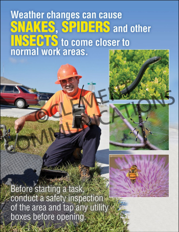 Workplace safety poster detailing venomous snakes and spiders, featuring identification tips, prevention steps, and emergency first aid for bites.