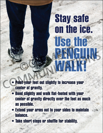 Penguin Walk - Poster