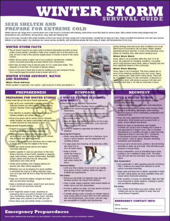 "Winter Storm Survival Guide" emergency preparedness poster from Clement, providing vital actions for employees to follow during severe winter weather.