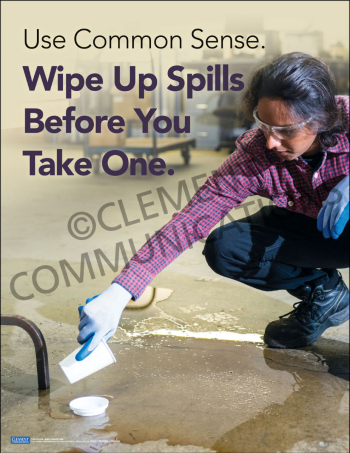 Housekeeping: Use Common Sense - Poster